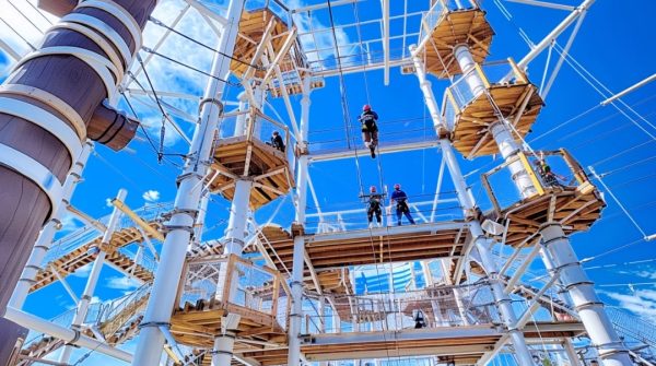 high adventure ropes course - Image 5