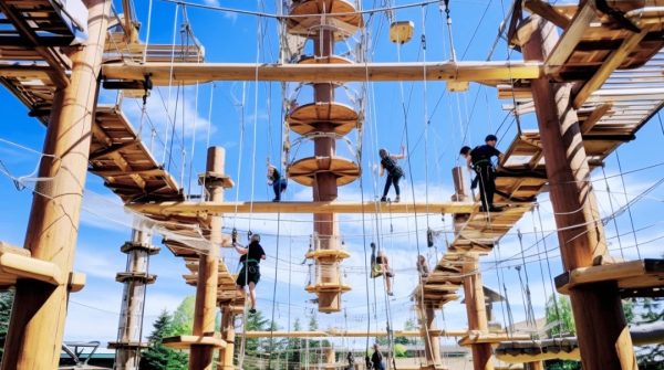 high adventure ropes course - Image 6